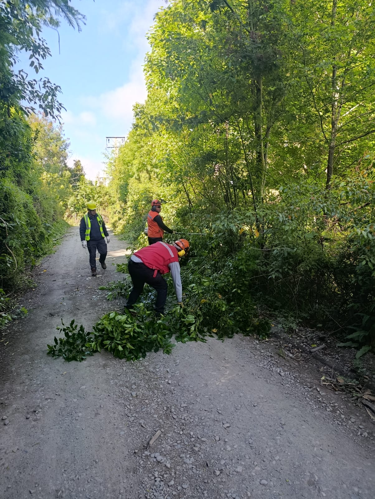 WhatsApp Image 2025-11-06 at 22.11.15