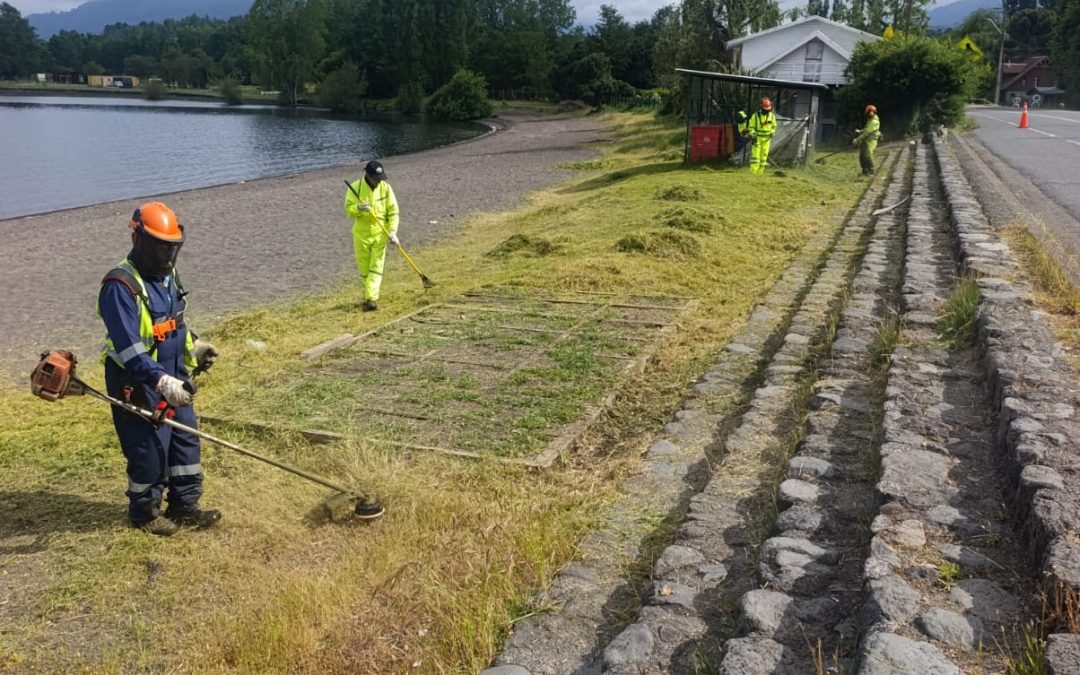 Pucura más limpio: municipio realiza amplio operativo de aseo y retiro de residuos