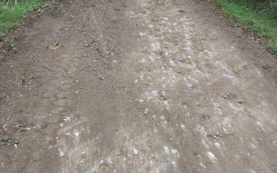 Camino de Pullinque Alto se reparó en su totalidad gracias al trabajo del Departamento de Caminos