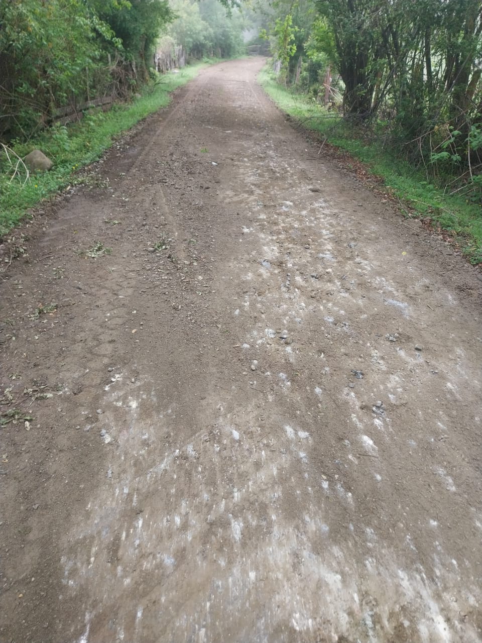 WhatsApp Image 2025-11-17 at 16.07.38