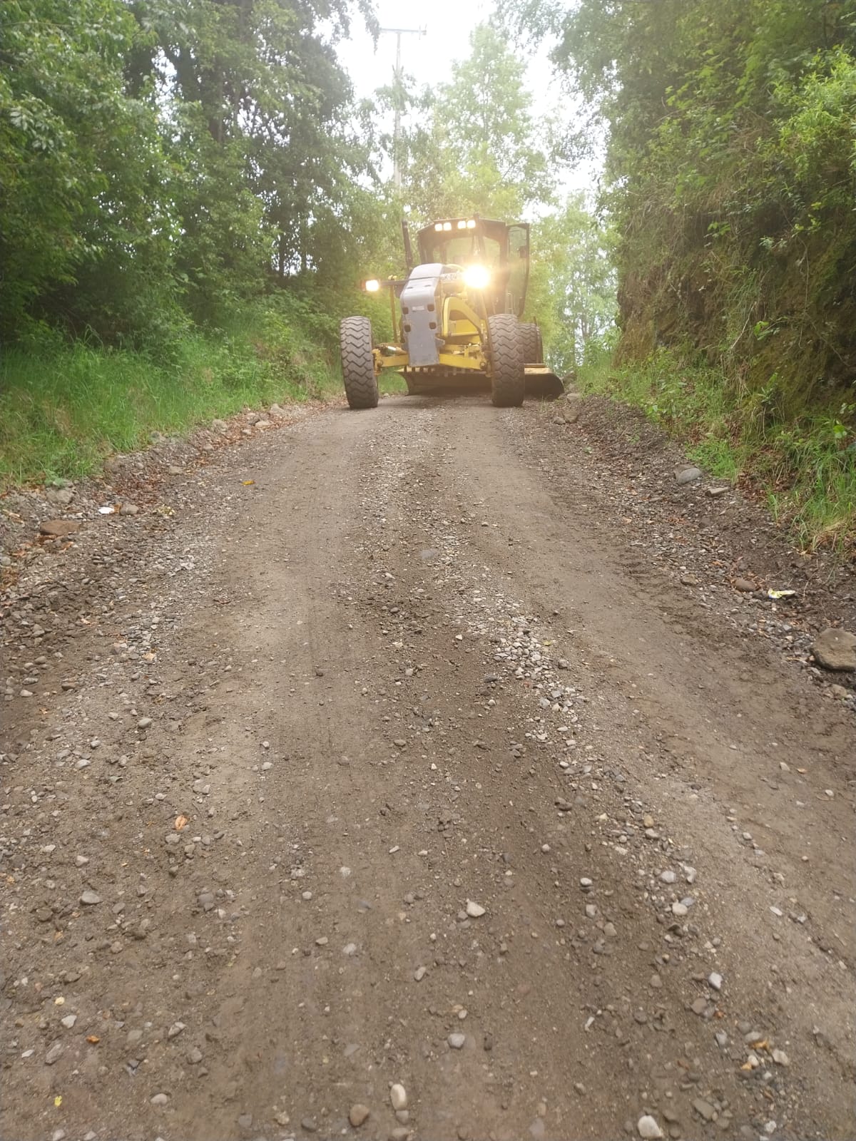 WhatsApp Image 2025-11-17 at 16.07.39