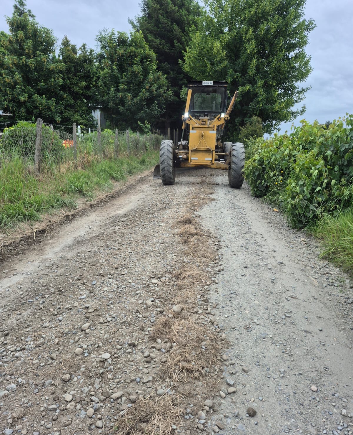 WhatsApp Image 2025-11-18 at 12.42.00