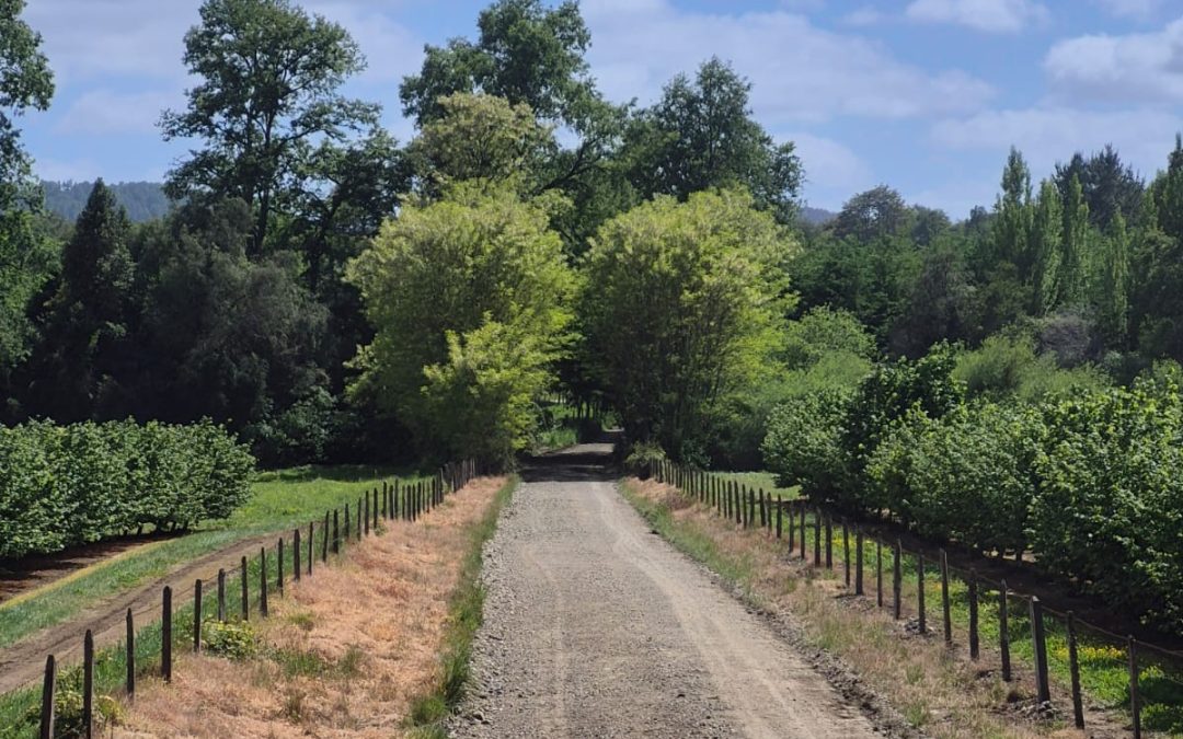 Departamento de Caminos repara camino de Trafún en Desagüe Riñihue