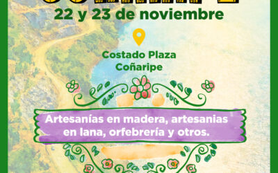 Artesanos de Coñaripe dan vida a una feria llena de cultura, diseño y tradición