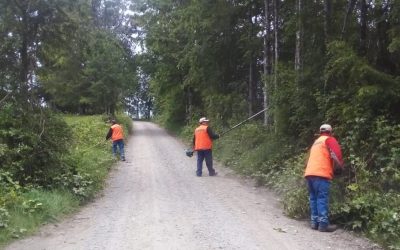 Municipalidad responde requerimientos vecinales con trabajos de limpieza y despeje en Los Tallos Bajos