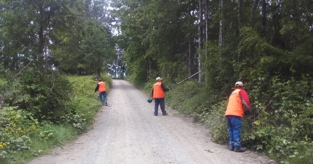Municipalidad responde requerimientos vecinales con trabajos de limpieza y despeje en Los Tallos Bajos