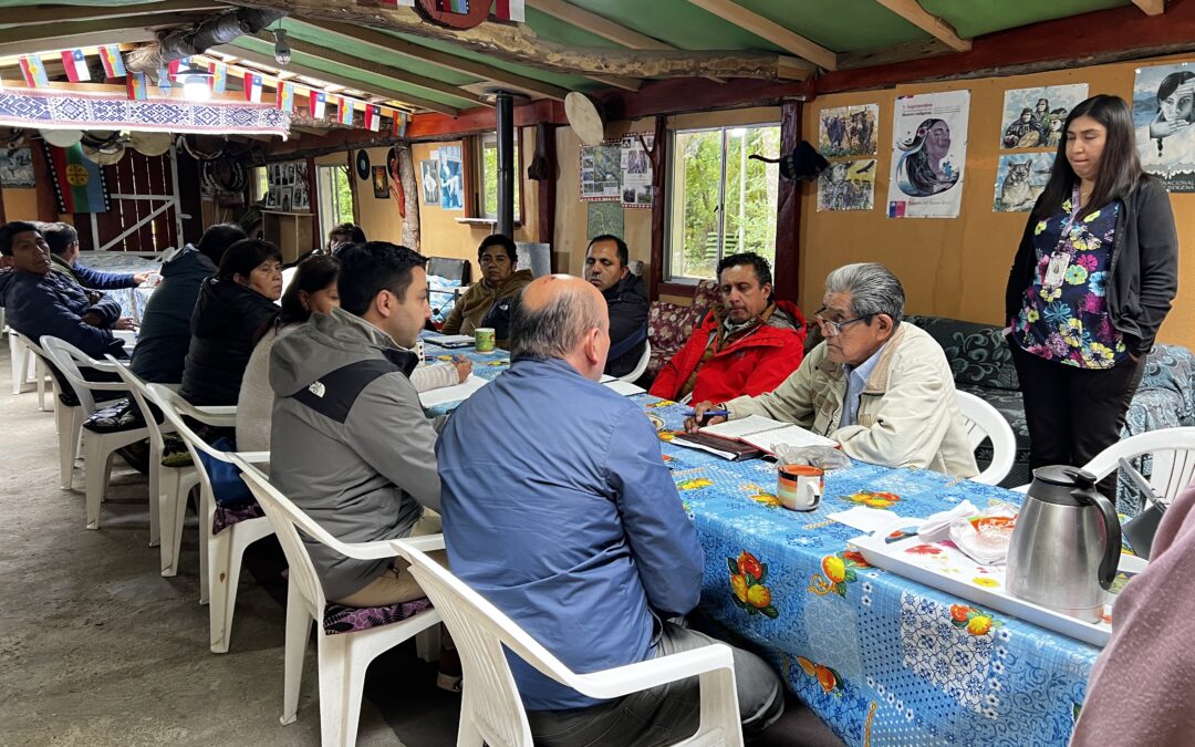 Trabajo en terreno: municipio y Mesa de Salud Intercultural de Liquiñe abordan desafíos ambientales y viales en Riohueico