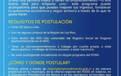 Nuevas oportunidades para emprender: se abren postulaciones al Fondo Nacional de Desarrollo Regional para adultos mayores