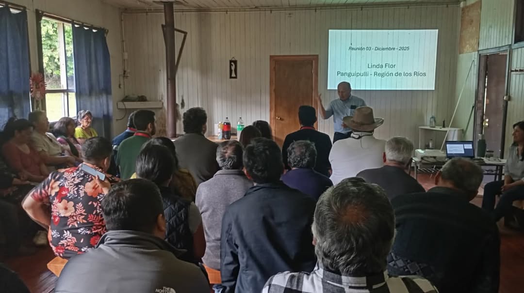 Municipalidad y dirigentes de Linda Flor solicitarán a Subdere y Contraloría rectificar más de 200 hectáreas que por fallas técnicas y administrativas pasaron a nombre de Loncoche