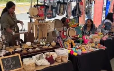 Éxito total de la primera Feria de Ecoemprendedoras en la Costanera de Panguipulli.