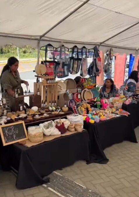 Éxito total de la primera Feria de Ecoemprendedoras en la Costanera de Panguipulli.