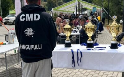 Éxito total en el torneo de ajedrez «XIII Memorial Arturo Bravo» en la Costanera de Panguipulli