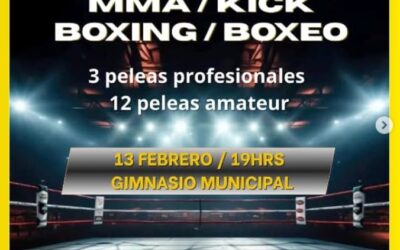 Summer Fight Panguipulli llega con MMA, boxeo y K1 en una sola velada.
