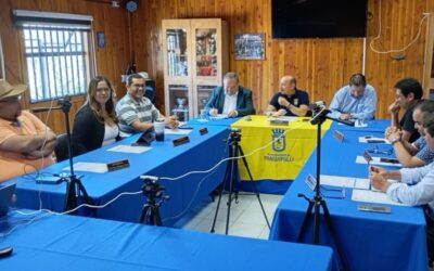 Concejo Municipal aprueba Shows Playa 2026 para Panguipulli y Coñaripe.