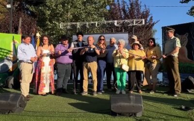 Más de 80 productores locales dan vida a la Feria Campesina en la Costanera de Panguipulli.
