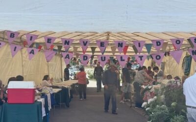 Se inauguró la Feria del Adulto Mayor en la Plaza Arturo Prat.