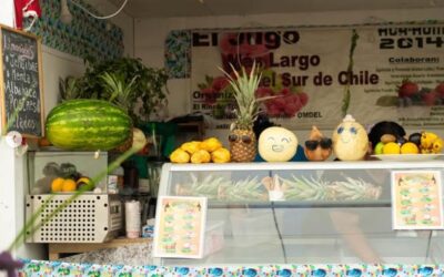 Miles de personas disfrutaron de la Feria Hua Hum 2026, una vitrina del talento local que volvió a brillar en la Costanera de Panguipulli