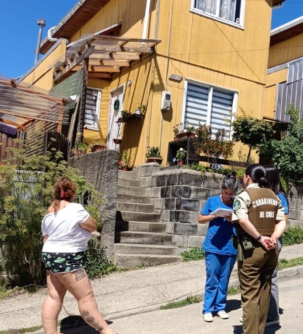 Operativo conjunto de la Veterinaria Municipal y Carabineros de Chile promueve el cuidado responsable de mascotas en Panguipulli