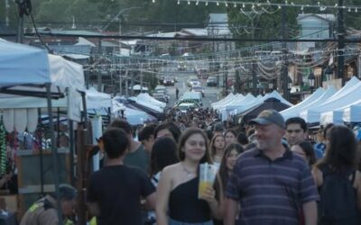 Gran convocatoria: así se vivió la primera jornada del Boulevard Paseo Las Rosas de verano en Panguipulli.