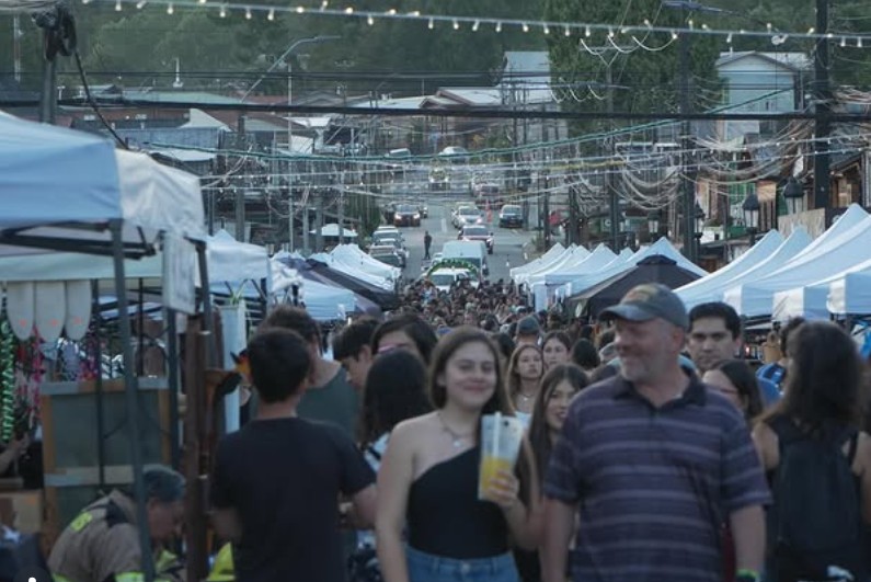 Gran convocatoria: así se vivió la primera jornada del Boulevard Paseo Las Rosas de verano en Panguipulli.