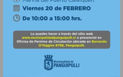 Permiso de Circulación 2026: municipio realizará atención en terreno este 20 de febrero en Calafquén
