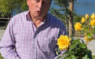 Conmemoración 8M: alcalde Valdivia destaca el rol de las mujeres en el desarrollo de Panguipulli