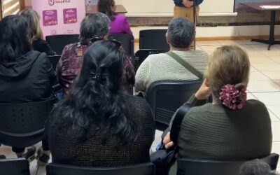 Panguipulli conmemorará el Mes de la Mujer con actividades por todo el territorio