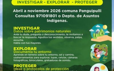 Nace “Pichi Kona Itrofillmongen”: programa cultural-ambiental invita a investigar, explorar y proteger el territorio
