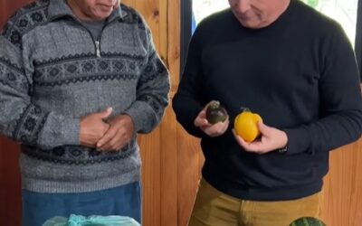 Municipalidad entrega semillas a familias de la Comunidad Wilkunko en Llancahue