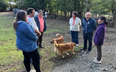 Nuevo camino y puente mejoran conectividad para familia de Ancacomoe