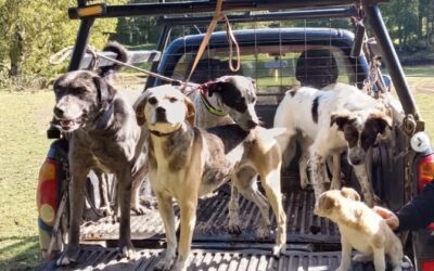 Exitosa jornada veterinaria fortaleció la salud animal en el sector de Linda Flor