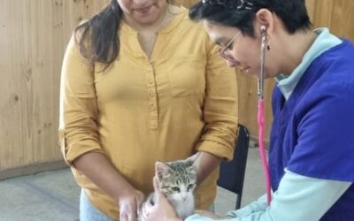 Veterinaria Municipal llevó operativo de vacunación a Neltume