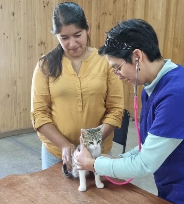 Veterinaria Municipal llevó operativo de vacunación a Neltume