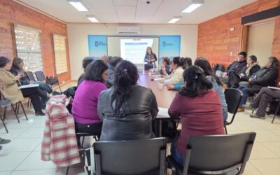 Dirigentes sociales de Panguipulli se capacitan para postular al FFOIP 2026