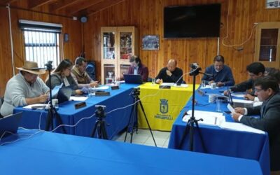 Concejo Municipal analizó deuda tributaria de Verde Sur SPA e inhabilidad para adjudicarse contratos con el Fisco