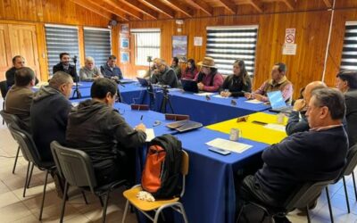 Concejo Municipal pone término anticipado a la concesión con Verde Sur SPA por provisión de mano de obra de aseo, estafetas y personal auxiliar