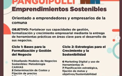 Academia Impulsa Panguipulli abre inscripciones para emprendedores de la comuna