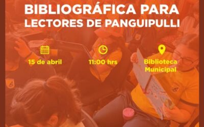 Nueva colección de libros llega a la Biblioteca Municipal de Panguipulli