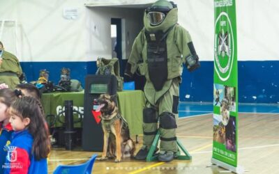 Con éxito se realizó la Expo Institucional de Carabineros en Panguipulli