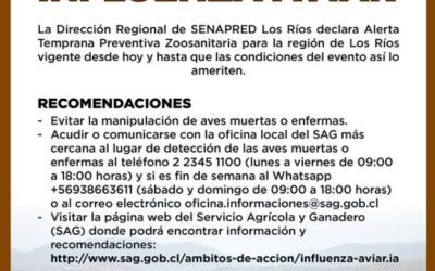 Alerta preventiva por riesgo de Influenza Aviar en la Región de Los Ríos