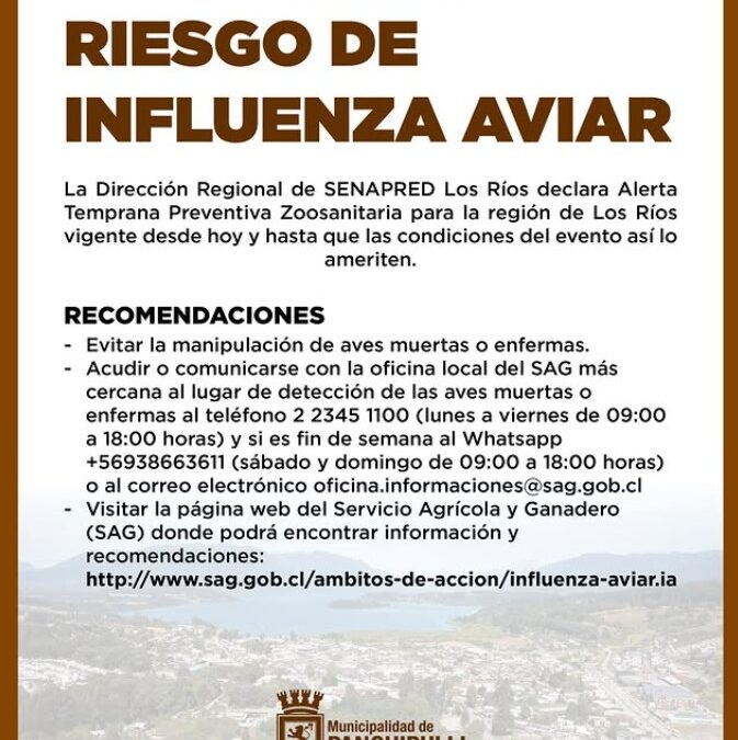 Alerta preventiva por riesgo de Influenza Aviar en la Región de Los Ríos