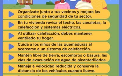 Prepárate para el invierno en Panguipulli: conoce estas medidas clave para prevenir riesgos