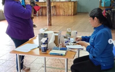 Compromiso en terreno: veterinaria municipal atendió a 24 pacientes en operativo realizado en Puerto Fuy