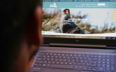 ¡Visita el destino Panguipulli Sietelagos!