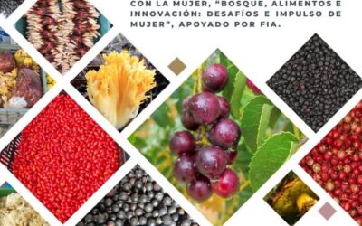 Panguipulli invita a conversatorio sobre alimentos del bosque y saberes rurales