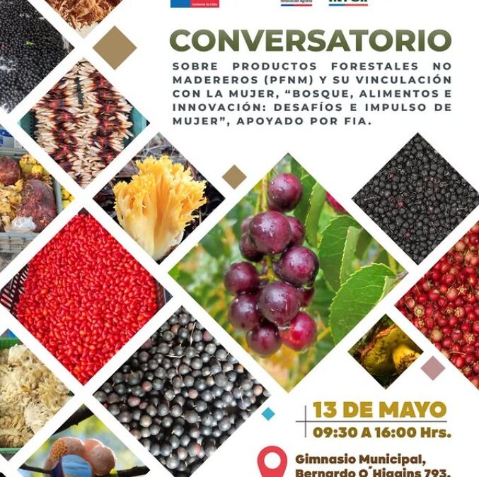 Panguipulli invita a conversatorio sobre alimentos del bosque y saberes rurales