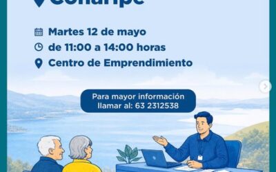 Bienes Nacionales realizará atención en terreno en Panguipulli y Coñaripe