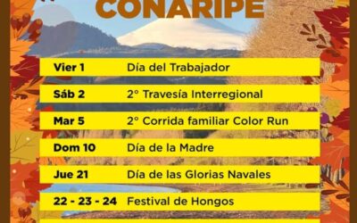 ¡Coñaripe se activa en mayo con imperdibles actividades para toda la comunidad!