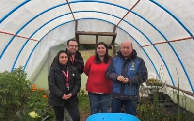 Programa de Fomento Productivo fortalece a emprendedoras rurales en Panguipulli