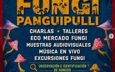 ¡El bosque cobra vida! Ven a disfrutar este sábado de la segunda edición «Expo Fungi Panguipulli 2026»